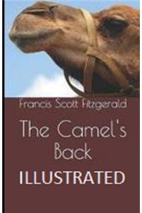 The Camel's Back Illustrated