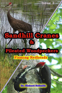 Sandhill Cranes & Pileated Woodpeckers