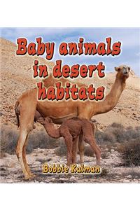 Baby Animals in Desert Habitats