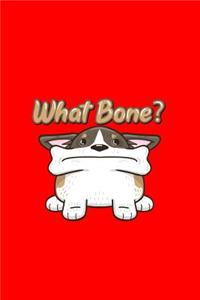 What Bone?