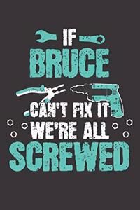 If BRUCE Can't Fix It