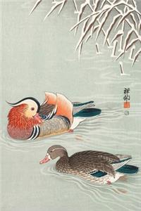 Enten