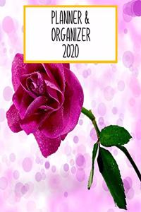 Planner Daily 2020