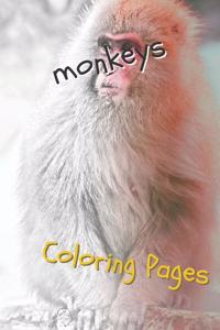 Monkeys Coloring Pages