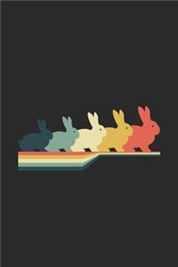 Rabbit Retro