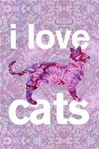 i love cats