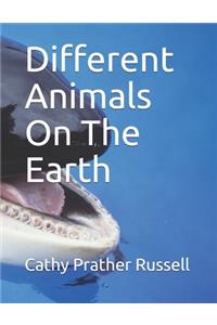 Different Animals On The Earth