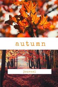 autumn journal