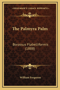 Palmyra Palm