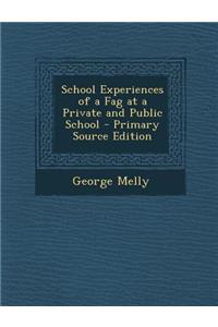 School Experiences of a Fag at a Private and Public School - Primary Source Edition