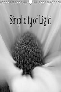 Simplicity of Light 2017