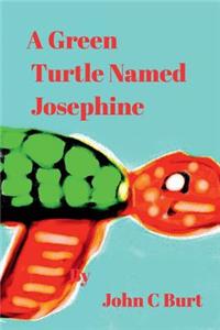 A Green Turtle Named Josephine.
