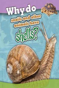 Why do snails and other animals have shells?