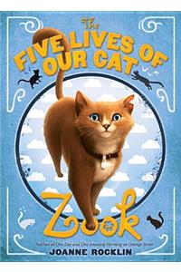 Five Lives of Our Cat Zook