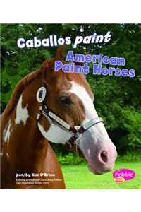 Caballos Paint/American Paint Horses