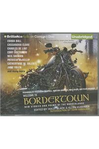 Welcome to Bordertown