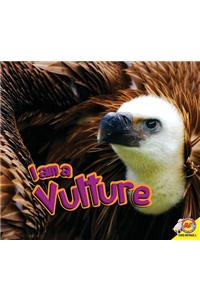 I Am a Vulture