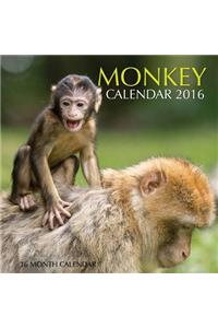Monkey Calendar 2016