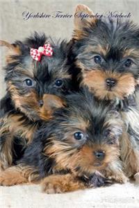 Yorkshire Terrier October Notebook Yorkshire Terrier Record, Log, Diary, Special Memories, To Do List, Academic Notepad, Scrapbook & More