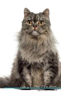 Turkish Angora Affirmations Workbook Turkish Angora Presents