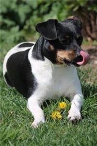 The Parson Russell Terrier Dog Journal