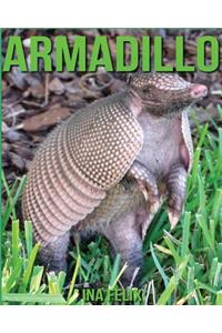 Armadillo