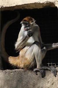 Black-Handed Spider Monkey Journal