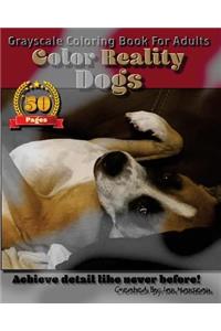 Dogs - Color Reality