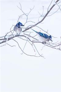 Blue Jays Bird Watching Journal To Write In Notes