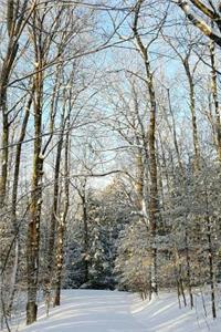 Sunlight Among Trees Winter Weather Journal