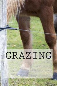 Grazing