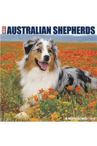 Just Australian Shepherds 2019 Wall Calendar (Dog Breed Calendar)