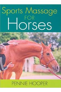 Sports Massage for Horses