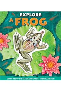 Explore a Frog
