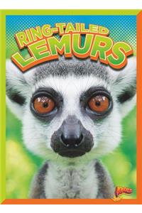 Ring-Tailed Lemurs