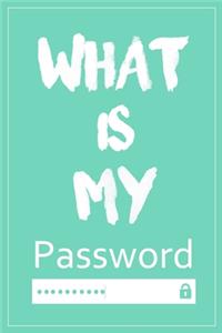 What Is My Password