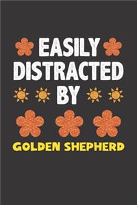 Easily Distracted By Golden Shepherd