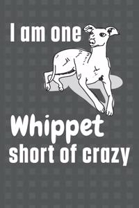 I am one Whippet short of crazy