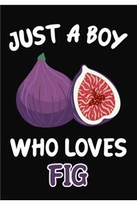 Just a Boy Who Loves Fig