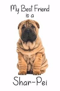 My best Friend is a Shar-Pei (Squared Paper)