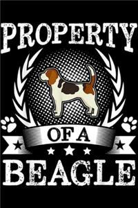 Property Of A Beagle