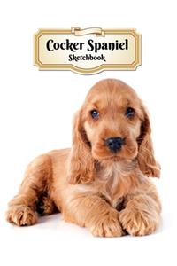 Cocker Spaniel Sketchbook