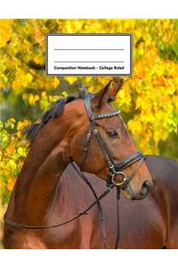 Composition Notebook - College Ruled