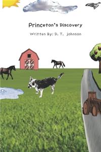 Princeton's Discovery