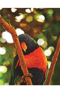 Bird Composition Notebook