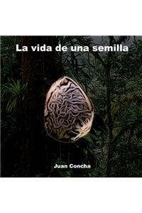 vida de una semilla