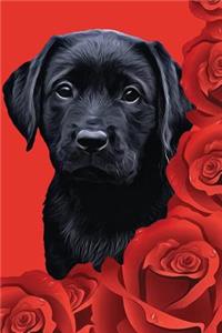 Black Lab Puppy Journal