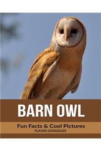 Barn Owl: Fun Facts & Cool Pictures