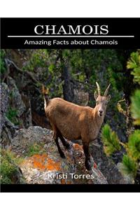 Amazing Facts about Chamois