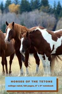 Horses of the Tetons - College Ruled Notebook